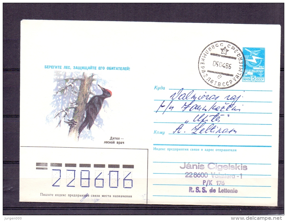 Noyta CCCP - Schwarzspecht -  Valmiera 5/4/1986  (RM4814) - Specht- & Bartvögel