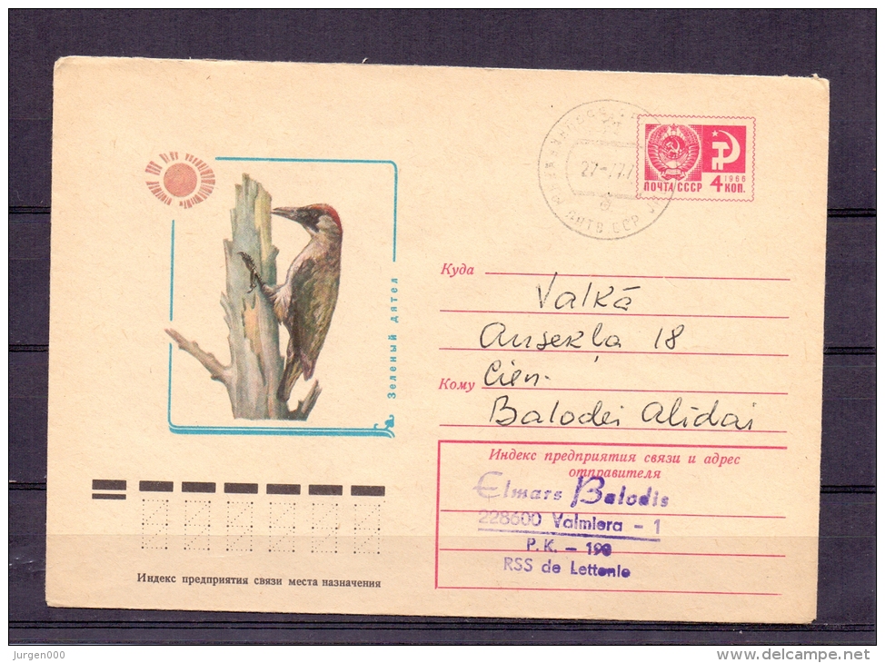 Noyta CCCP - Groenspecht - 27/7/1977 (RM4816) - Piciformes (pájaros Carpinteros)