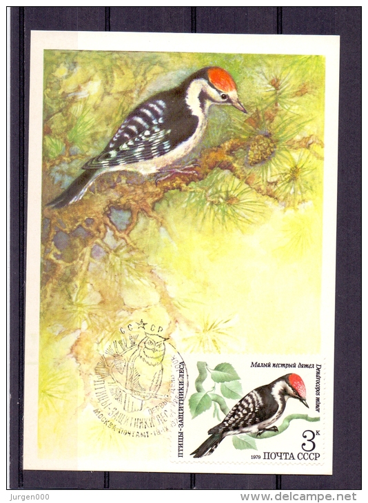 Noyta CCCP - Dendrocopos Minor - Mockba  18/9/1979 (RM4817) - Piciformes (pájaros Carpinteros)