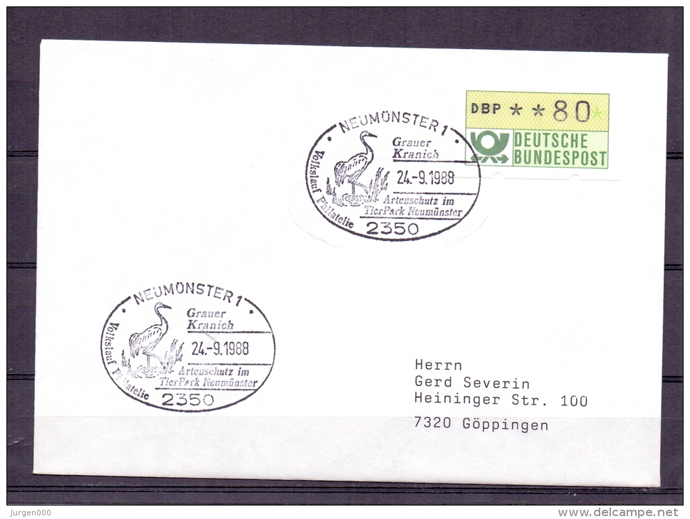 Deutsche Bundespost - Artenschutz Im Tierpark Neumünster - Grauer Kranich - 24/9/1988    (RM4841) - Kranichvögel