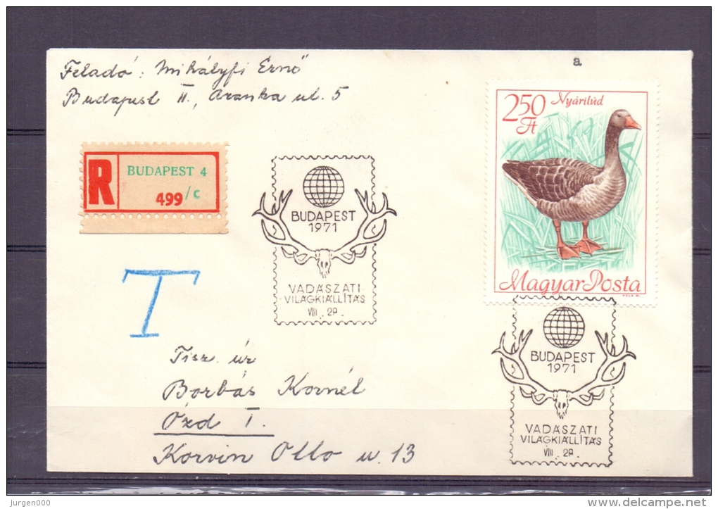 Magyar Posta - Nyarilud - Budapest 28/8/1971 (RM5522) - Geese