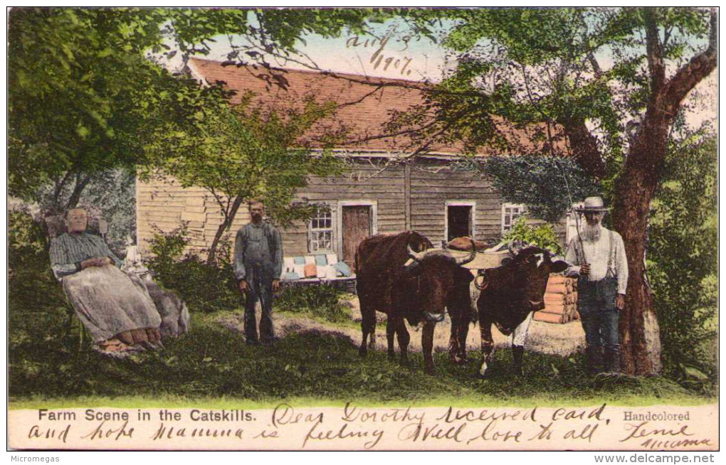 Farm Scene In The Catskills - Catskills