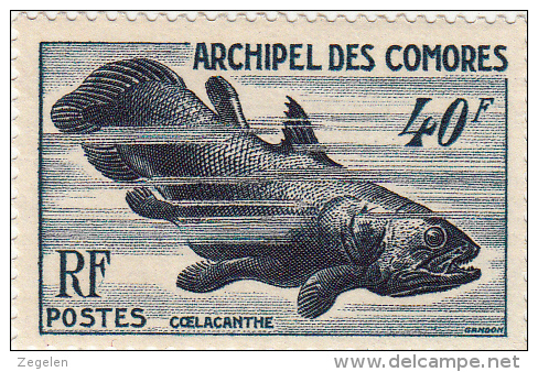 Comoren  Yv 13, Fishes,poissons  MNH ** - Unused Stamps