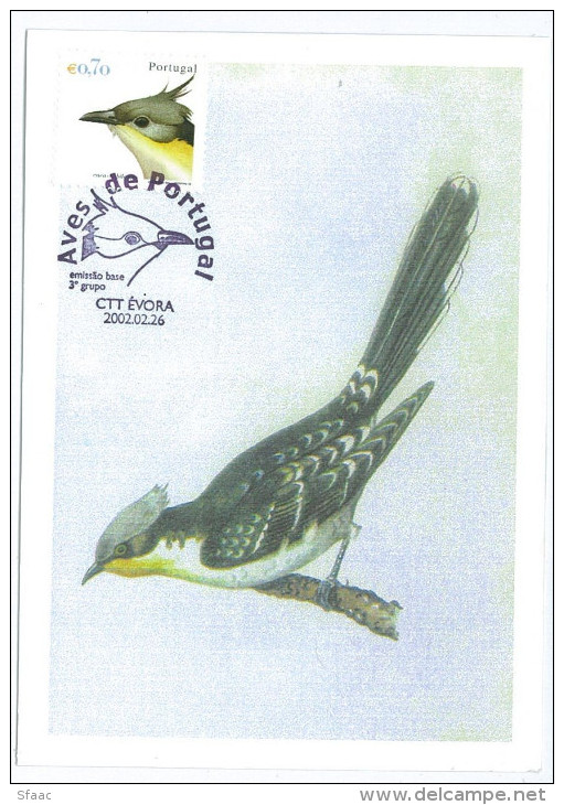 Portugal Maximum - Cuckoo - Cuco Rubilongo - Aves De Portugal Évora FD Postmark 2002 - Cuckoos & Turacos