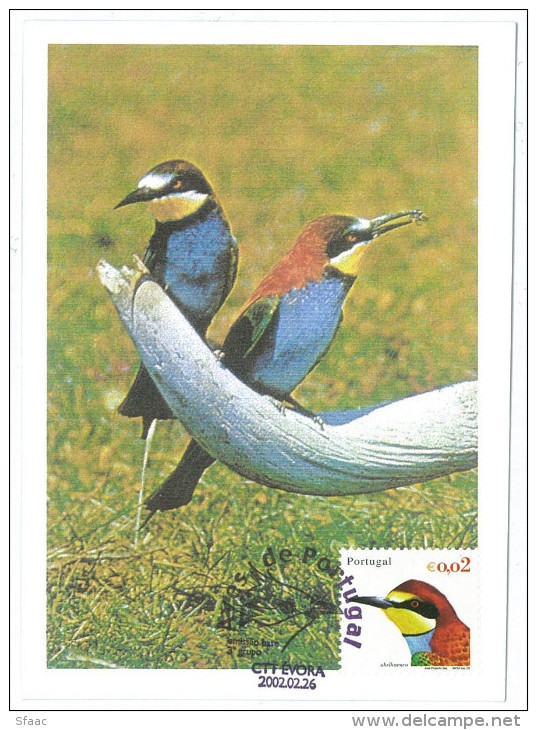 Portugal Maximum - European Bee Eater  - Abelharuco - Merops Apiaster - Aves De Portugal Évora FD Postmark 2002 - Cuco, Cuclillos