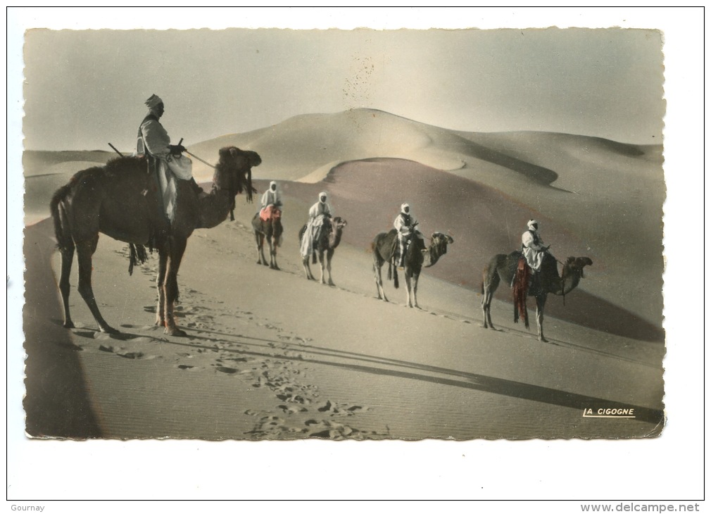 Scènes Et Types : Patrouille En Observation N°50/007 La Cigogne (pour Le Maroc) Dentelée - Sahara Occidental