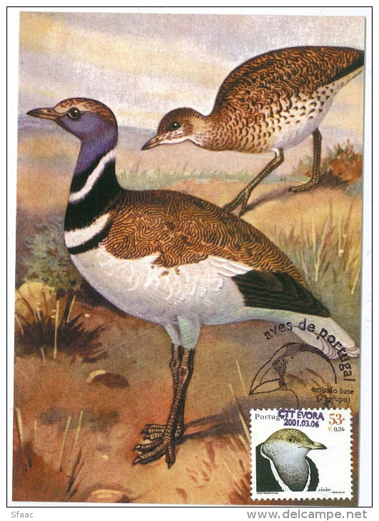 Portugal Maximum - Sisão - Tetrax Tetrax - Aves De Portugal Évora FD Postmark 2001 - Storks & Long-legged Wading Birds