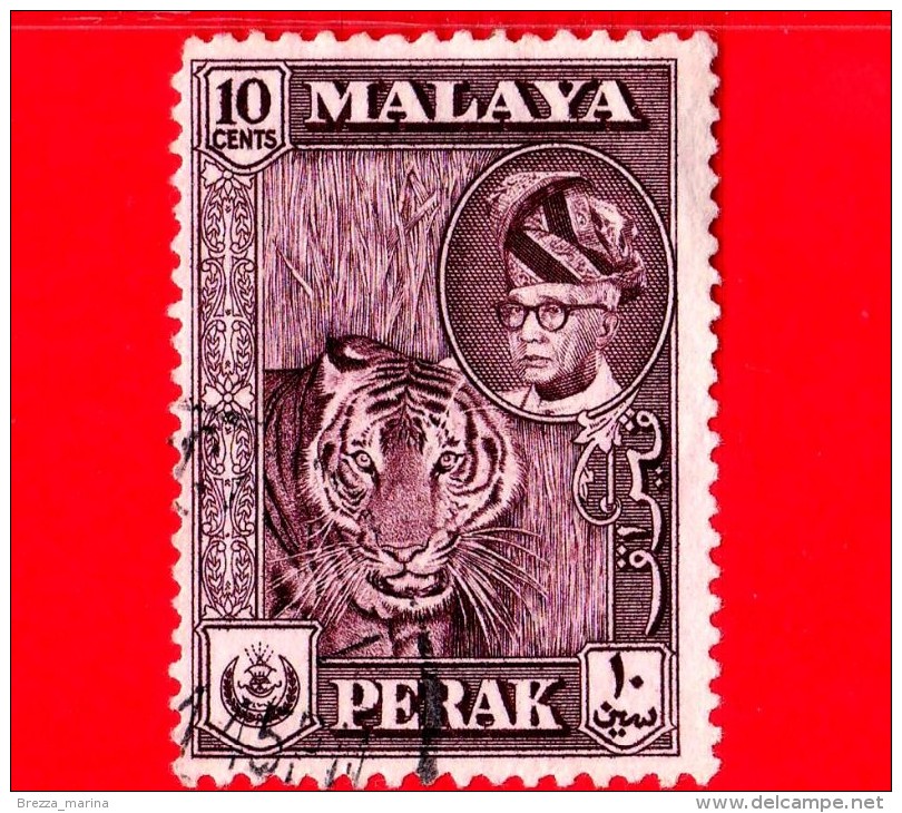 MALESIA - Malaya - Usato - 1957 - PERAK - Tigre - 10 - Perak