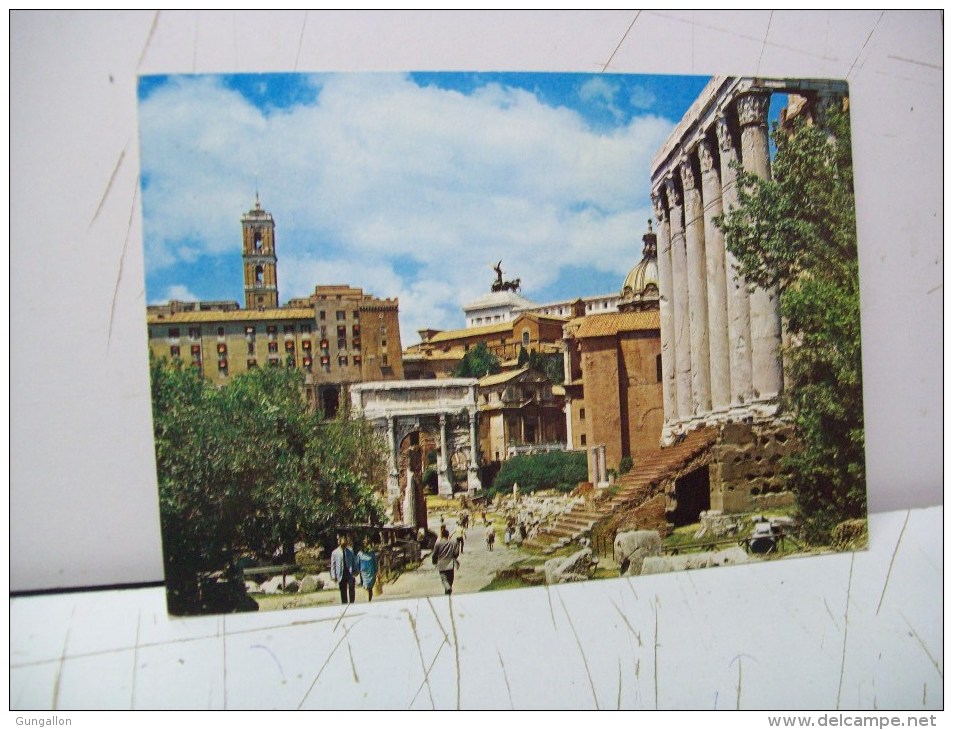 Foro Romano Particolare Del Tempio D'Antonino E Faustina "Roma"  RM "Lazio" (Italia) - Altri Monumenti, Edifici