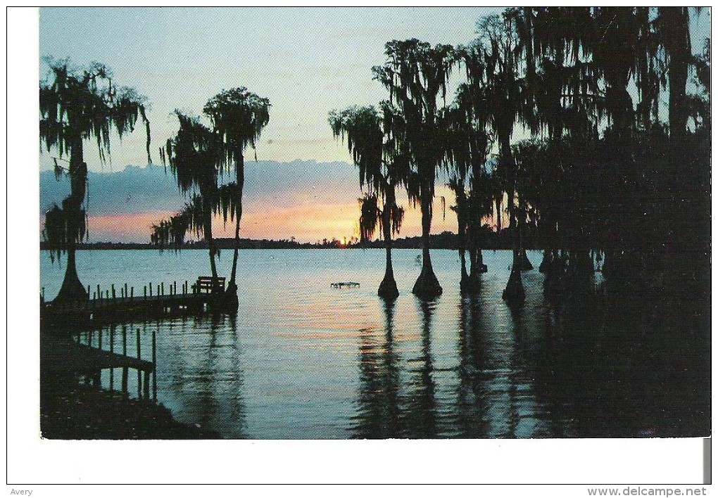 The Fascinating Silhouettes Of Cypress Trees  Sunset In Cypress Gardens, Florida - Autres & Non Classés
