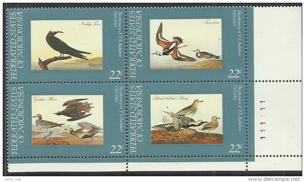 Micronesia 1985 Audubon Birds Set 5 MNH - Mikronesien