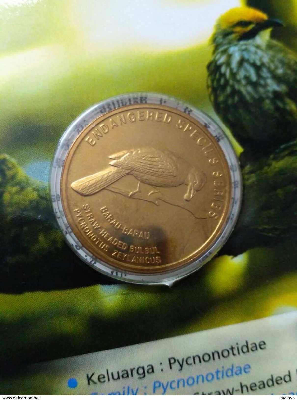 MALAYSIA 2005 2004   25 Sen Coin Bird Nordic Gold BUStraw Headed Bulbul - Malaysie
