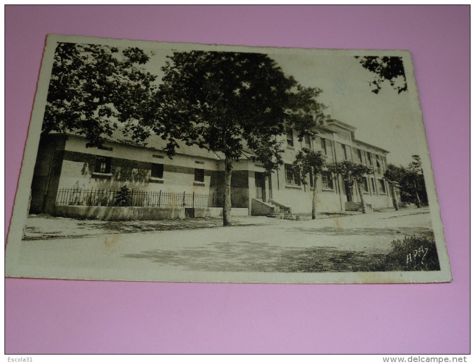 CP 82 Tarn Et Garonne  Lavit De Lomagne Groupe Scolaire Avenue De Beaumont     Ed Boutie Tabacs - Lavit