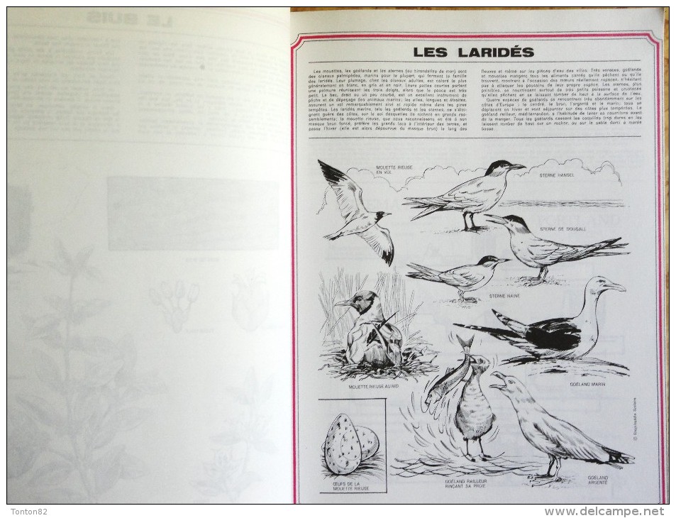 Une documentation scolaire à la portée de tous - Éditions Unide - ( 1977 ) .