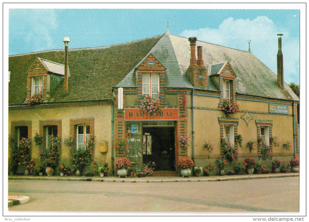 Clémont, Bar Du Dauphin, éd. Claire-France N° 1540 - Clémont