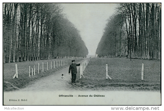 76 OFFRANVILLE / L'Avenue Du Château / CARTE GLACEE - Offranville