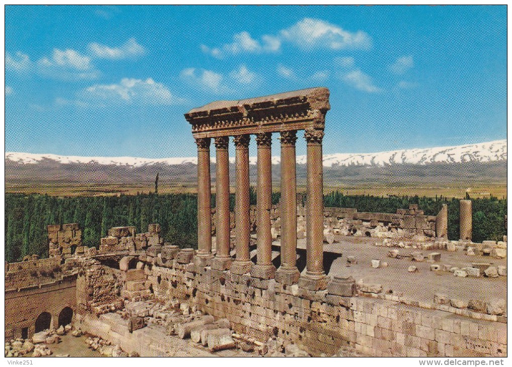 LIBAN - BAALBECK - Les Colonnes Du Temple De Jupiter - Liban