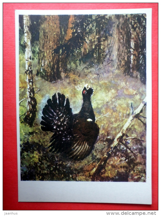 Illustration By A. Komarov - Western Capercaillie - Tetrao Urogallus - Birds - 1975 - Russia USSR - Unused - Oiseaux