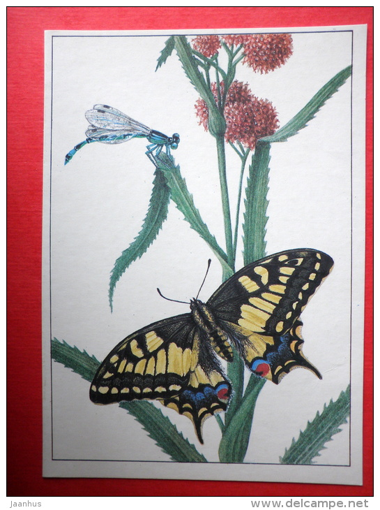 Old World Swallowtail - Goblet-marked Damselfly , Erythromma Lindenii - Insects - 1987 - Russia USSR - Unused - Insectos
