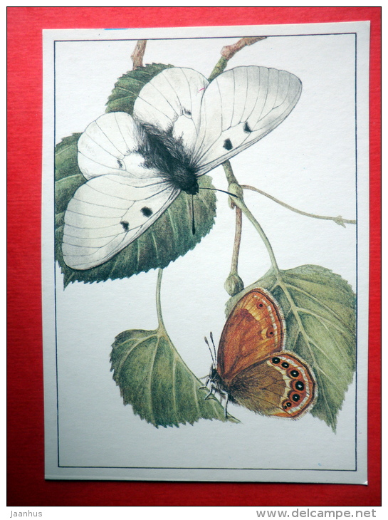 The Scarce Heath , Coenonympha Hero - Clouded Apollo , Parnassius Mnemosyne - Insects - 1987 - Russia USSR - Unused - Insectes