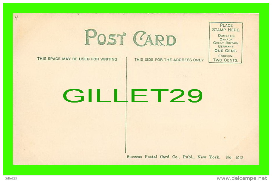 NEW YORK CITY, NY - THE NEW YORK PUBLIC LIBRARY - ANIMATED - SUCCES POSTAL CARD CO PUB. - - Onderwijs, Scholen En Universiteiten