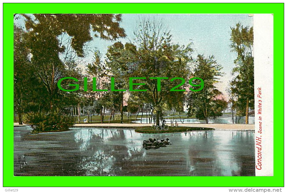 CONCORD, NH - SCENE IN WHRITE'S PARK - ANIMATED WITH BICYCLES - UNDIVIDED BACK - THE HUGH C. LEIGHTON CO - - Concord