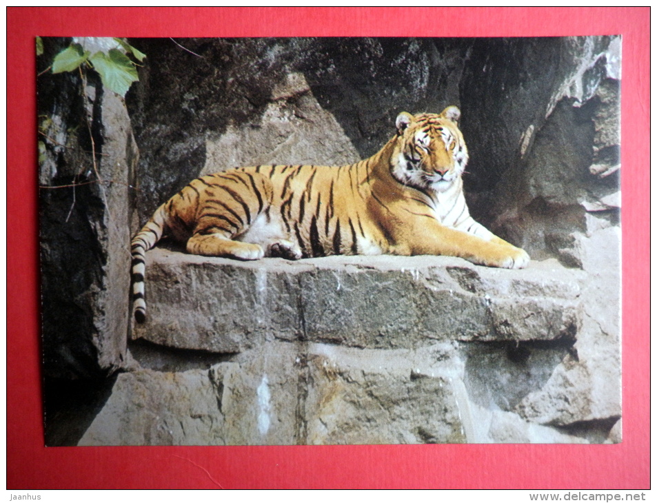 Tiger - Animals - 1989 - Russia USSR - Unused - Tijgers