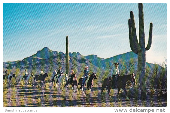 Riders On The Arizona Desert Phioenix Arizona - Phoenix