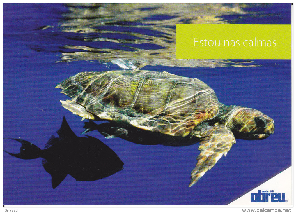 CPM TORTUE DES ACORES - Turtles