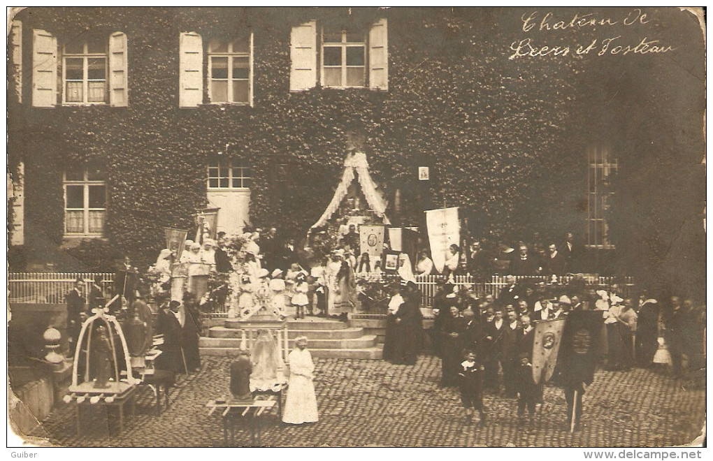 Environs De Thuin Chateau De Leers Et Fosteau (procession Banieres Animation) Carte Photo - Thuin