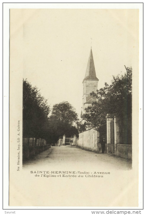 SAINTE- HERMINE. -  Avenue De L'Eglise Et Entrée Du Château . - Sainte Hermine