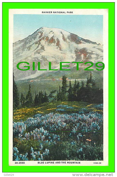 TACOMA, WA - RAINIER NATIONAL PARK - BLUE LUPINE AND THE MOUNTAIN - TRAVEL IN 1964 - C.T. AMERICAN ART - - Tacoma