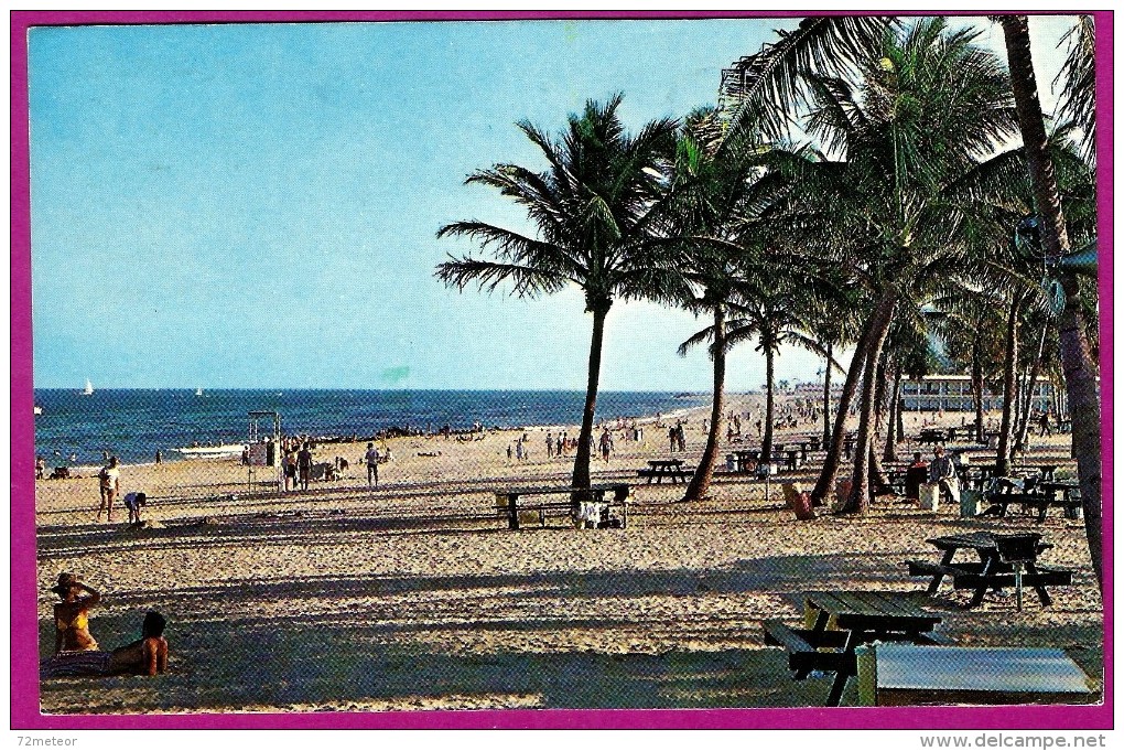 Wide Sandy Beach Coconut Palms Ft Lauderdale FL Nice Scenic Postcard - Fort Lauderdale