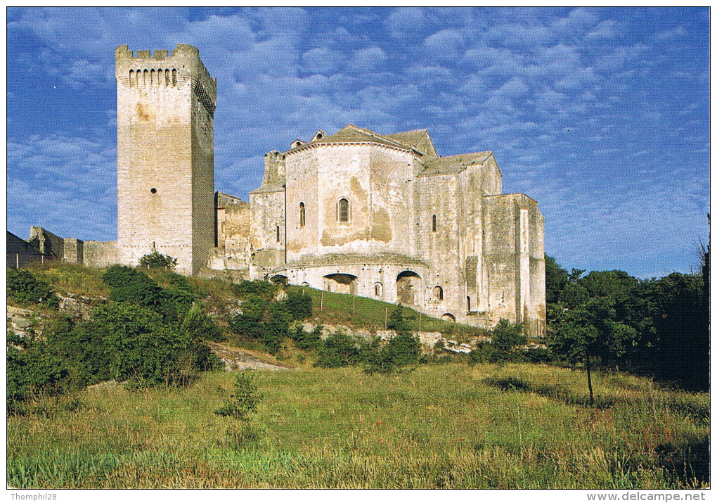 Abbaye De MONTMAJOUR, Dominant Le Pays D'ARLES - Vue Générale De L'Abbaye - Circulée - Monuments