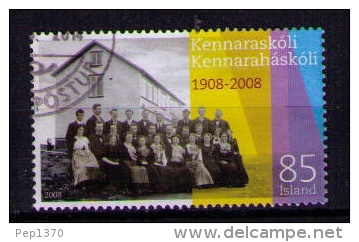 ISLANDIA 2008 - COLLEGE TEACHERS - Used Stamps