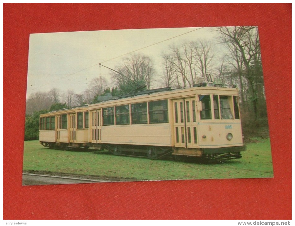 BRUXELLES  -  Tram  - Motrice Et Remorque Type "Standard"   (1950) - Public Transport (surface)