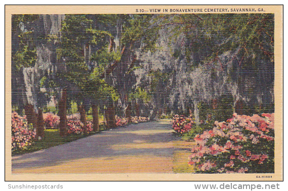 Georgia Savannah View In Bonaventure Cemetery - Savannah