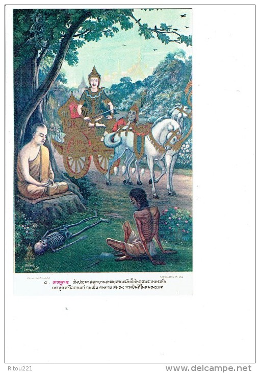 THAILAND - Prince Siddhattha - OLD MAN - CORPSE SQUELETTE CRANE TETE DE MORT - N°E 8 - Série BUDDHA - Buddhism