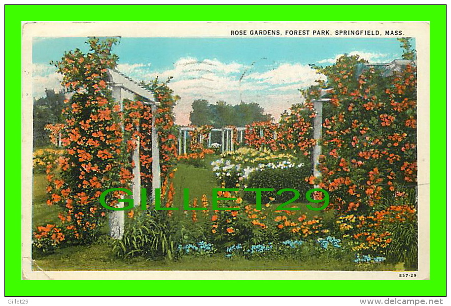 SPRINGFIELD, MA - ROSE GARDENS, FOREST PARK - TRAVEL IN 1930 - PUB. BY THE SPRINGFIELD NEWS CO -- - Springfield