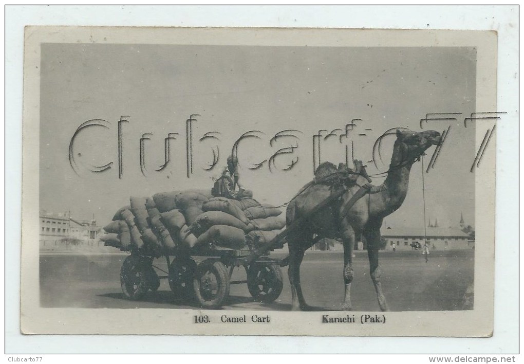 Karachi (Pakistan) : GP D'un Attelage Avec Chameau Camel Cart En 1945 (animé) PF. - Pakistan