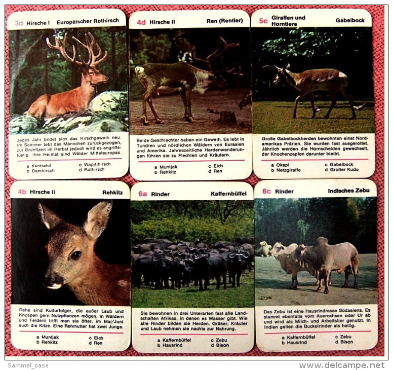 Tier-Quartett Aus Den 1970er Jahren  - Komplett Mit 36 Spielkarten - Brain Teasers, Brain Games