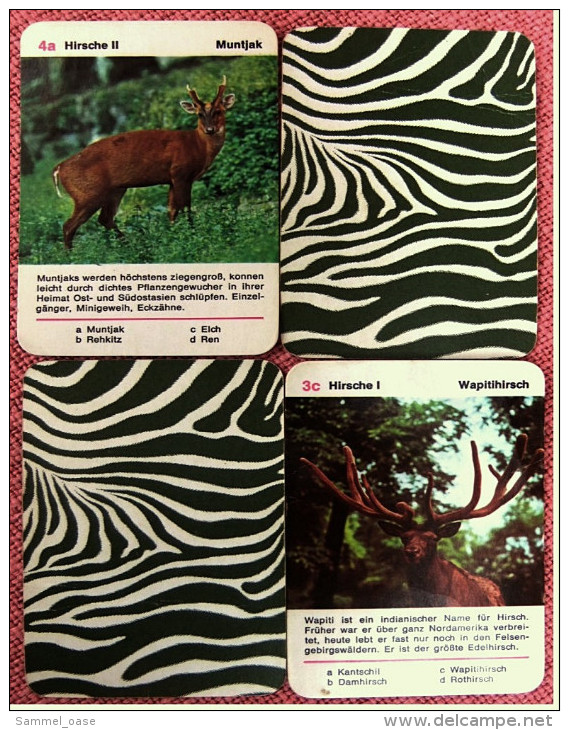 Tier-Quartett Aus Den 1970er Jahren  - Komplett Mit 36 Spielkarten - Brain Teasers, Brain Games