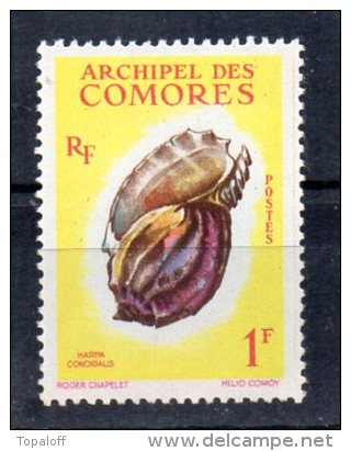COMORES N° 20 Neuf Sans  Charniere - Used Stamps