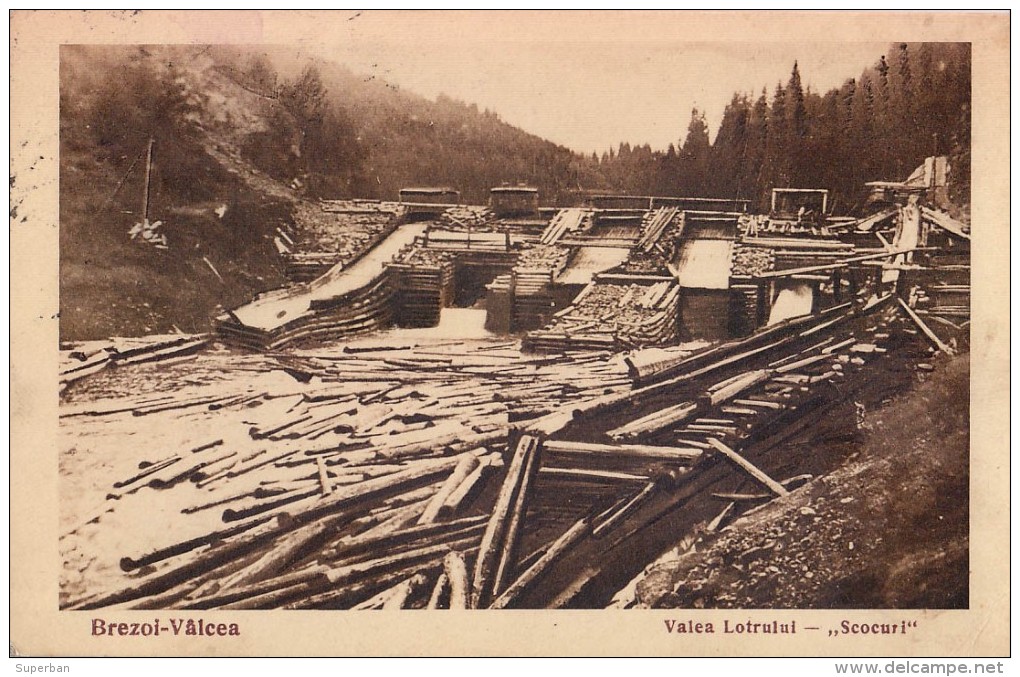 TIMBER RAFTING In ROMANIA / FLOTTAGE DU BOIS En ROUMANIE Sur LOTRU à BREZOIU VÂLCEA - 1934 (q-217) - Rumänien