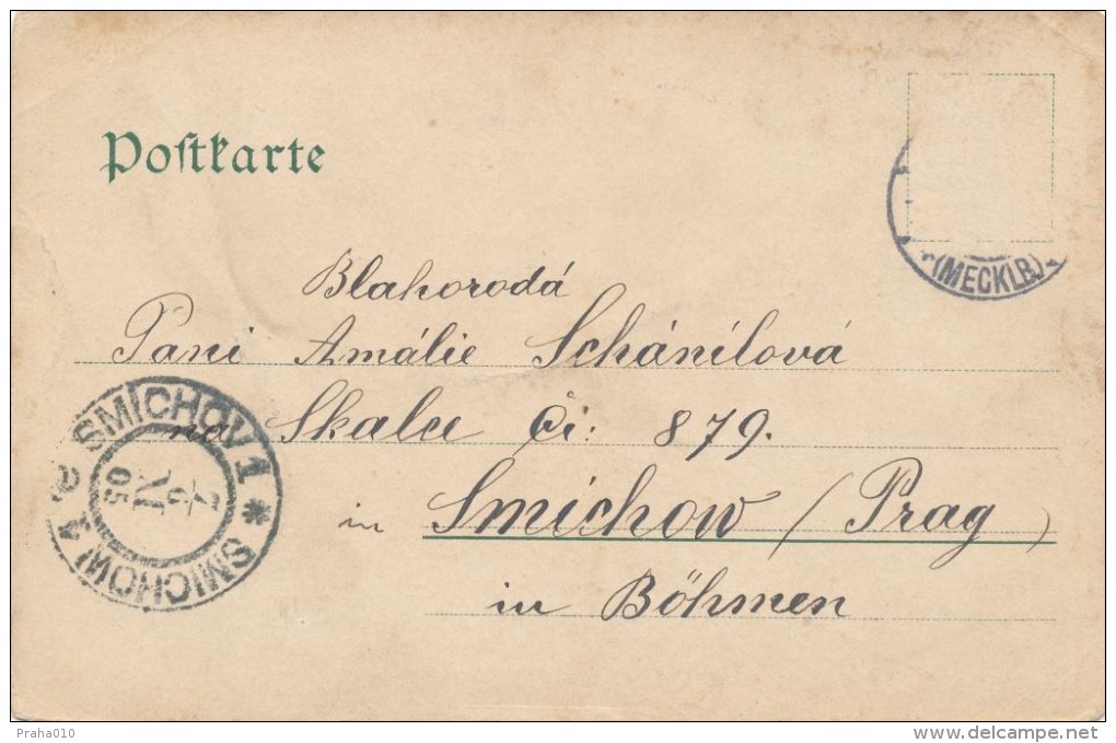 I6020 - Germany (1905) Postcard: Schwerin - Panorama (Heliocolorkarte Von Ottmar Zieher, München) - Schwerin