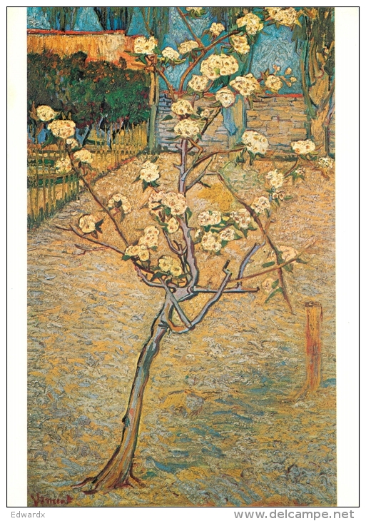Van Gogh, Vincent  Pear Tree In Bloom Van Gogh Museum Amsterdam Art Postcard - Peintures & Tableaux