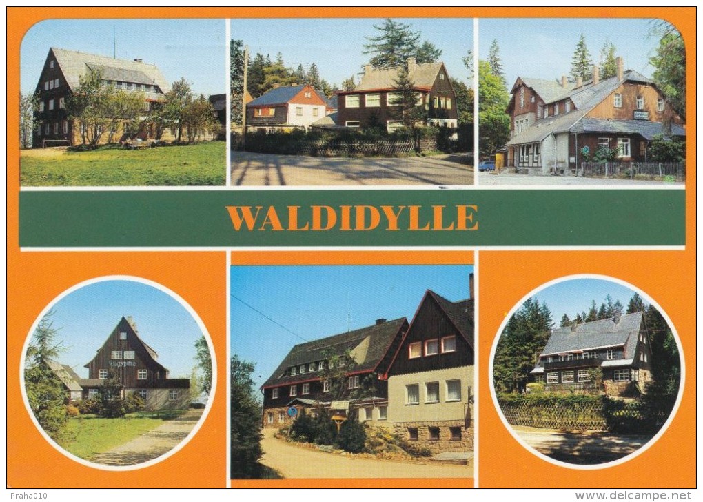 I6001 - Germany (1989) Postcard: Falkenhain (Kr.Dippoldiswalde) - Staatlich Anerkannter Erholungsort Ortsteil Waldidylle - Dippoldiswalde