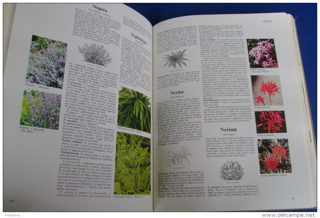 PFX/17 IL GRANDE LIBRO DEI FIORI E DELLE PIANTE Selezione Dal Reader's Digest Ed.1974 - Gardening