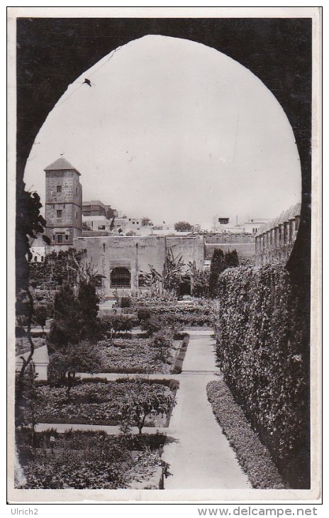 CPA Rabat - Jardin Des Oudaias (5803) - Rabat
