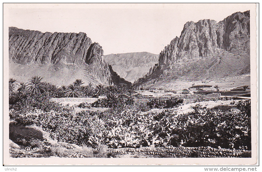 CPA Constantine - Gorges D'El-Kantara - Vue Prise Du Village Blanc  (5813) - Constantine